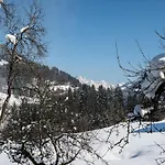 Sprawling Mansion Near Area In Salzburg *
