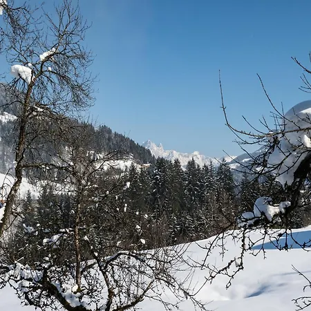 Holiday home Sprawling Mansion Near Area In Salzburg *