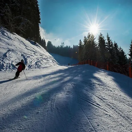 Sprawling Mansion Near Area In Salzburg Eben Im Pongau