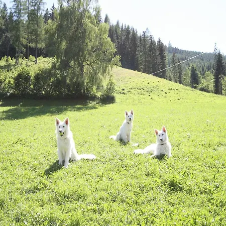 Casa de Férias Sprawling Mansion Near Area In Salzburg *