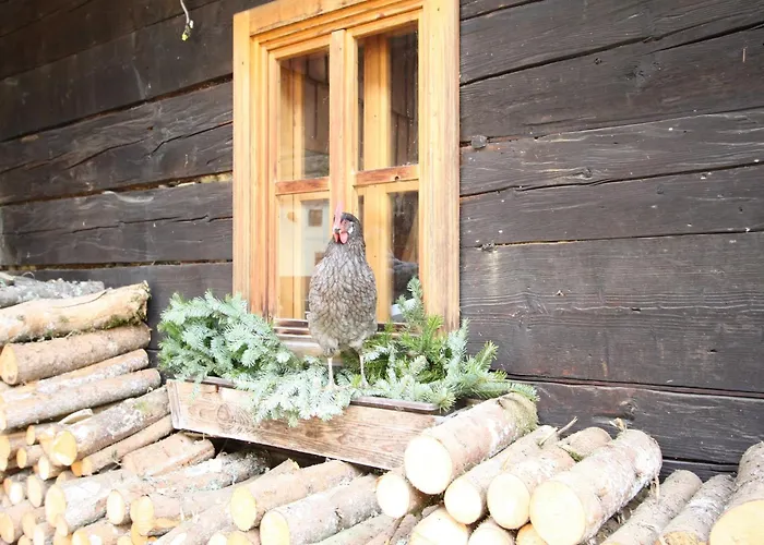 Sprawling Mansion Near Area In Salzburg * Eben Im Pongau