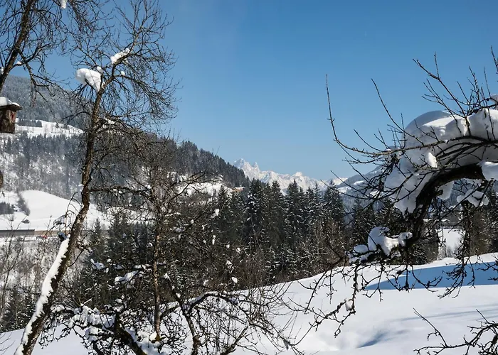 度假居 Sprawling Mansion Near Area In Salzburg *