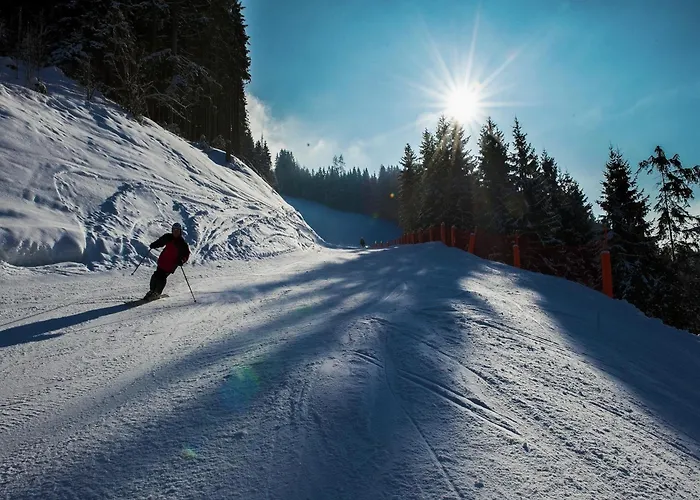 Sprawling Mansion Near Area In Salzburg 埃本因蓬高