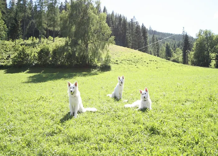 Σπίτι διακοπών Sprawling Mansion Near Area In Salzburg *